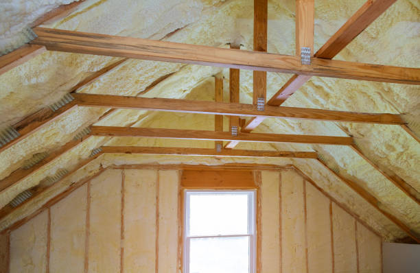 Best Spray Foam Insulation in Alamo, TX