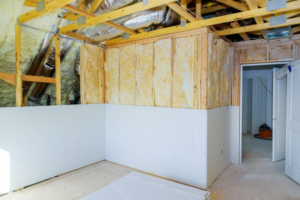 Best Eco-Friendly Insulation in Alamo, TX