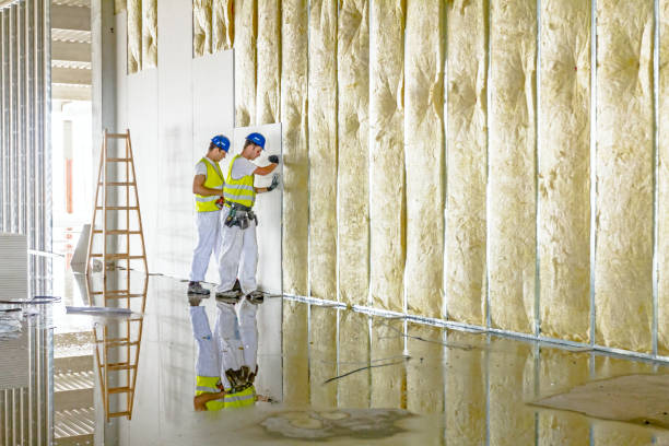 Best Insulation Maintenance and Repair in Alamo, TX